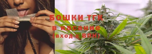крисы Нея