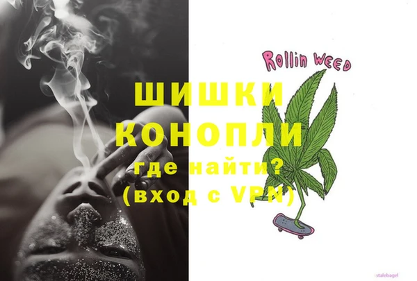 дурь Ельня