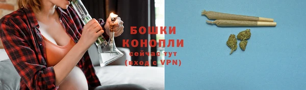 крисы Нея