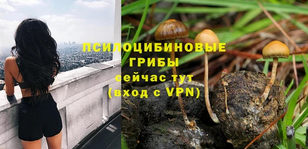 дурь Ельня