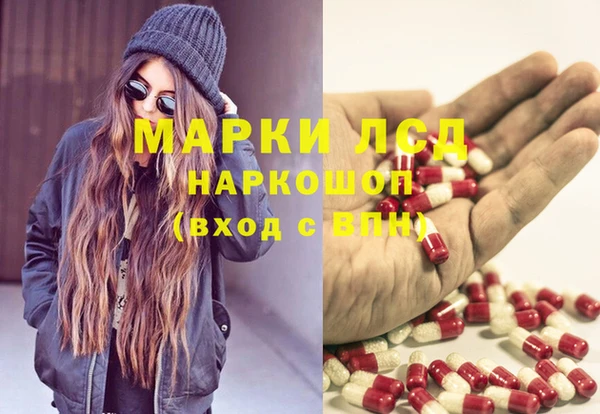 дурь Ельня