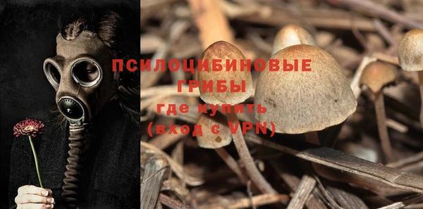 дурь Ельня