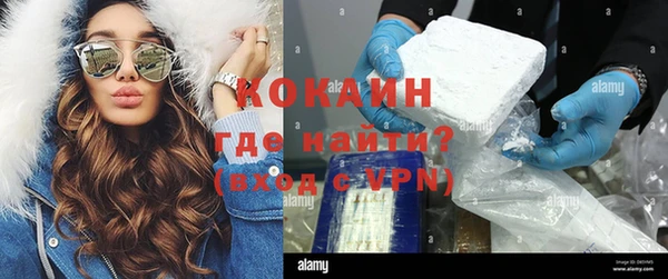 крисы Нея