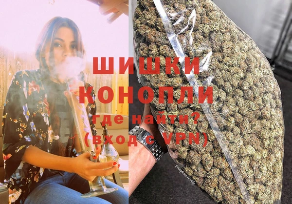 мдпв Елизово