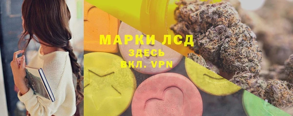 дурь Ельня