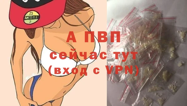 мдпв Елизово