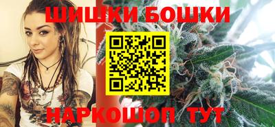 индика Бийск