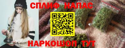 индика Бийск