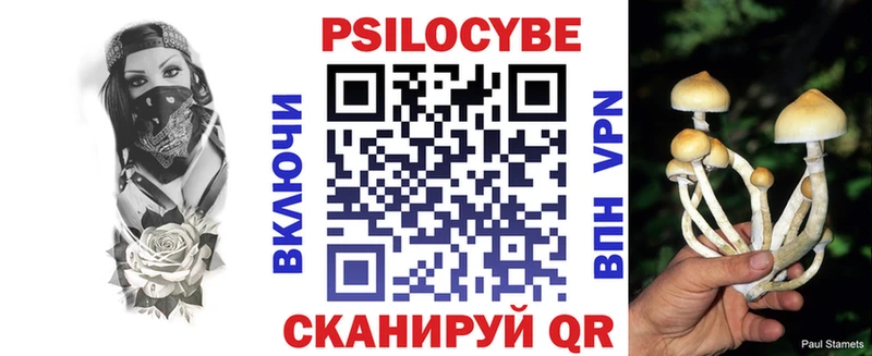 блэк спрут как войти как найти наркотики Калуга Галлюциногенные грибы Psilocybine cubensis