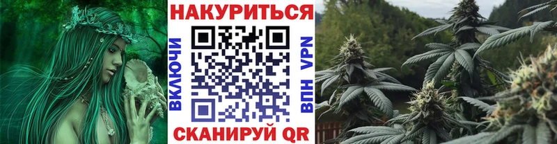 Бошки марихуана VHQ  купить наркоту  Калуга 
